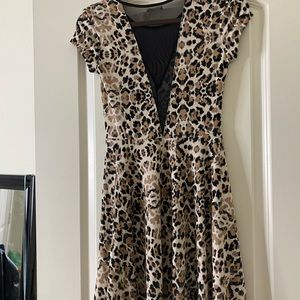Kimchi Blue Urban Outfitter Mesh Leopard Skater Dress